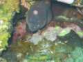 21251-IMG_2004-06-08_12-51-58_R.jpg